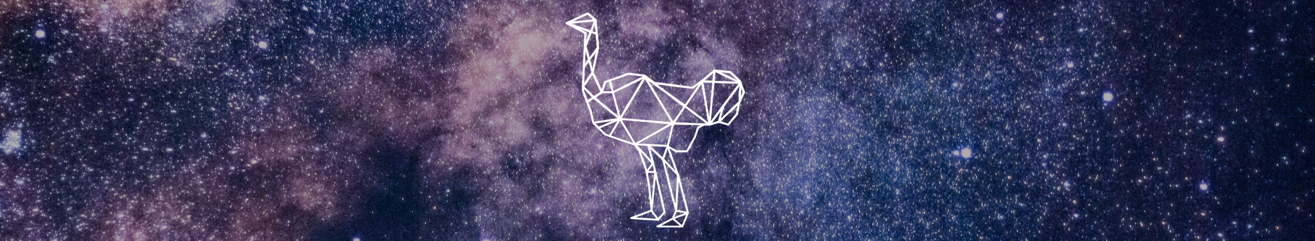 Toj_to_spletna_stran_header_2